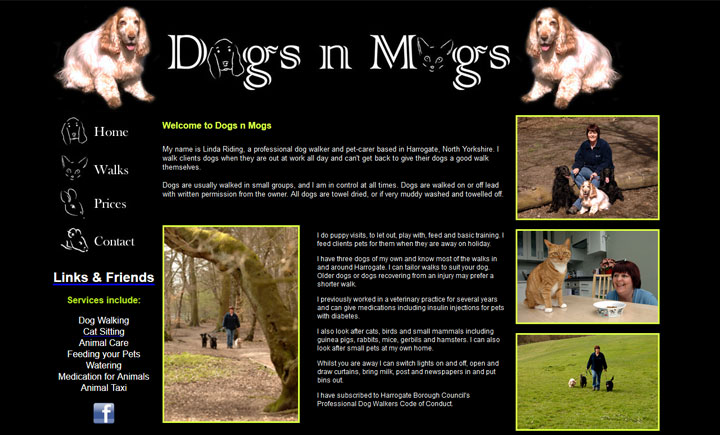 Dogs n Mogs Harrogate